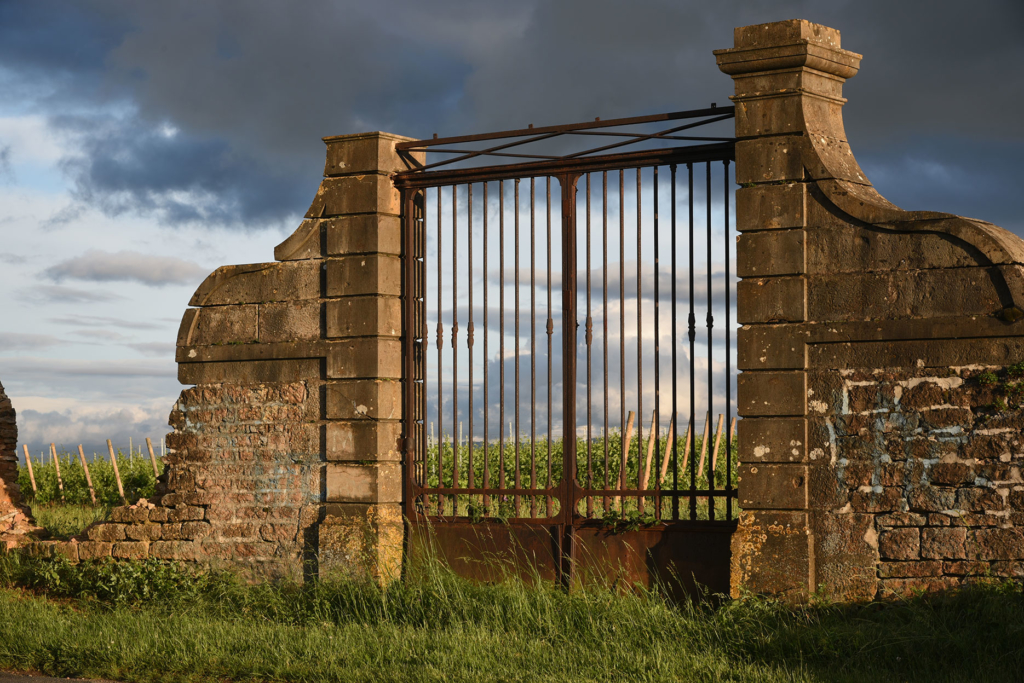 ©VD-Photographie - Portes d'un domaine viticole - St Julien